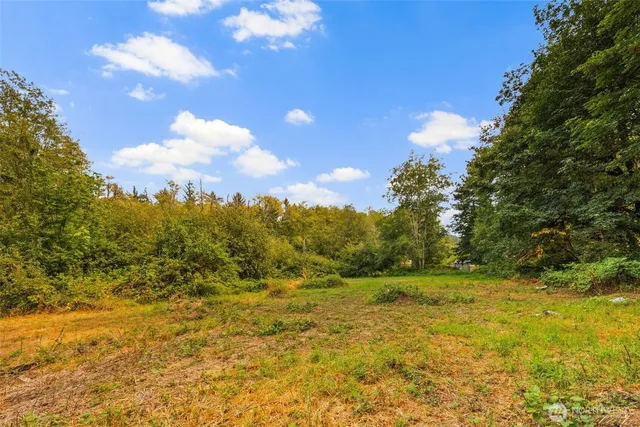 a view of outdoor space and yard