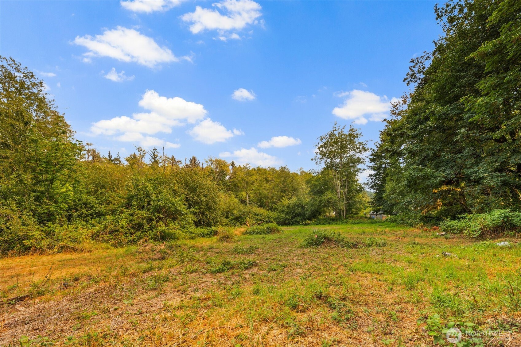 3211 West Little Egypt Road Shelton, WA 98584 - Photo 29 of 40 a view of outdoor space and yard