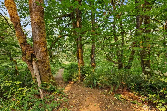 a backyard of a house with lots of plants