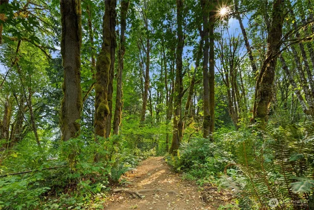 a backyard of a house with lots of green space