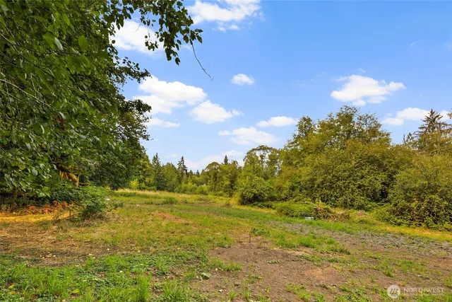 a view of a large yard with plants and large trees