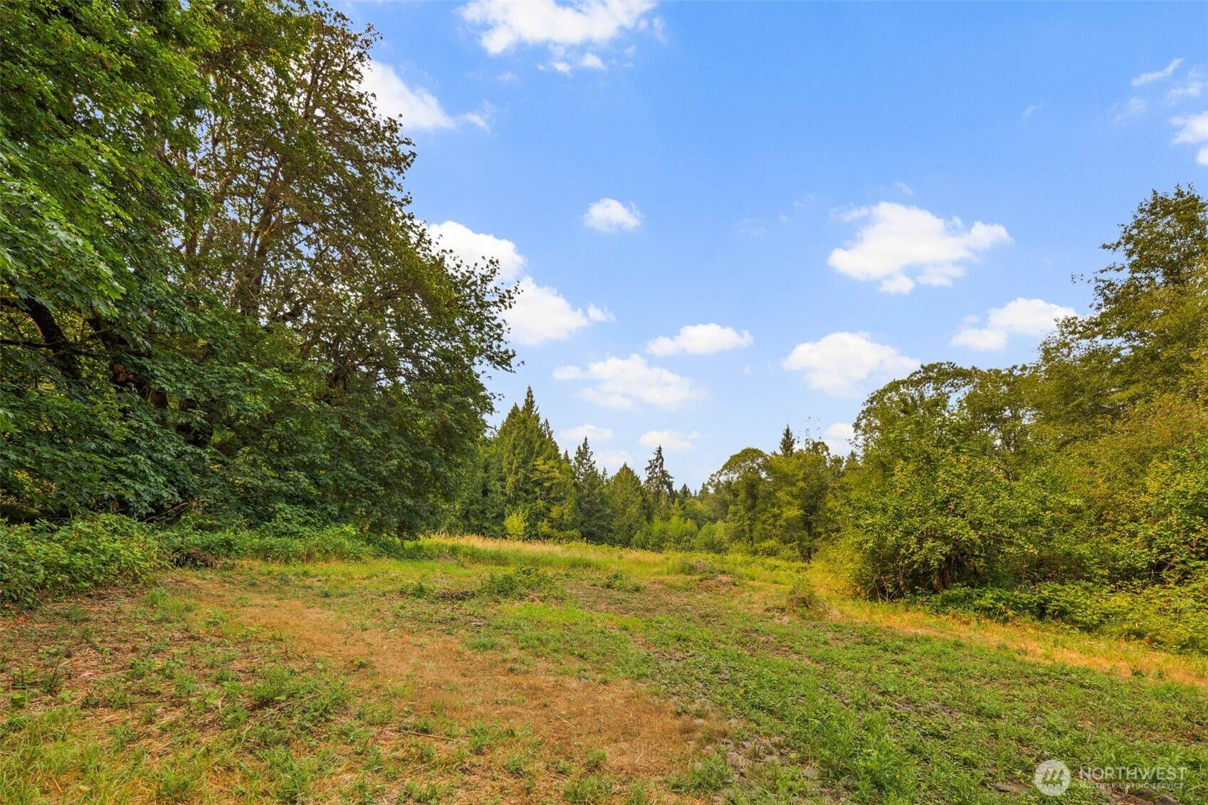 3211 West Little Egypt Road Shelton, WA 98584 - Photo 39 of 40 a view of a big yard with swimming pool and green space
