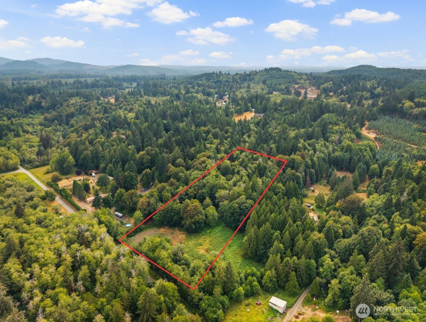 3211 West Little Egypt Road Shelton, WA 98584 - Photo 5 of 40 a view of a lush green forest with houses