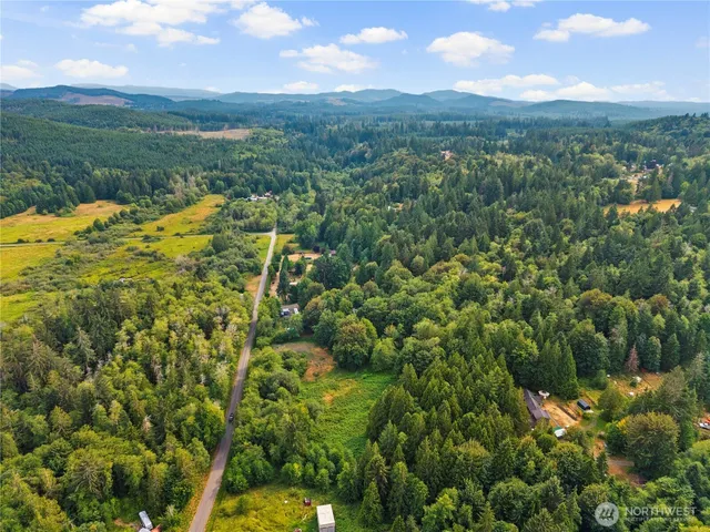 a view of a lush green forest with lots of trees