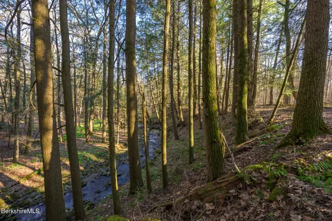 $1,500,000 | 140 Beartown Mountain Road, Monterey, MA 01245