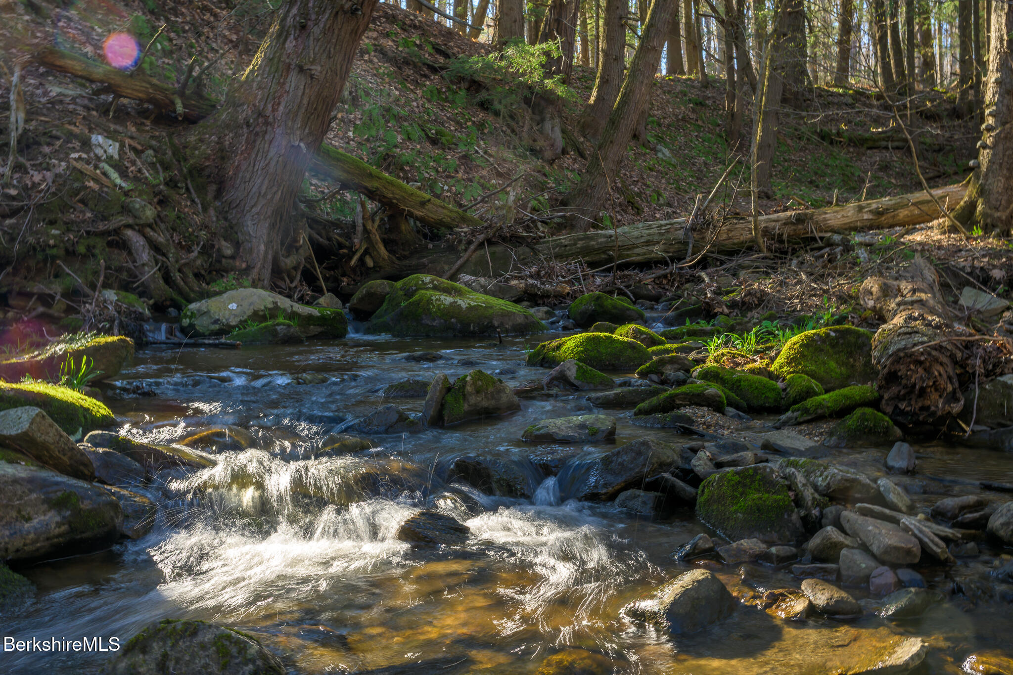 140 Beartown Mountain Road Monterey, MA 01245 - Photo 49 of 50 LOOM BROOK