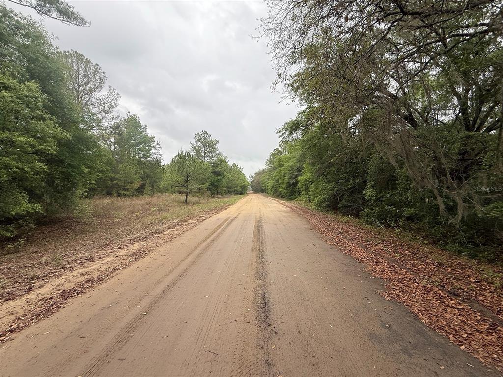 Maltas Avenue Interlachen, FL 32148 - Photo 5 of 9 a view of a rural road with plants