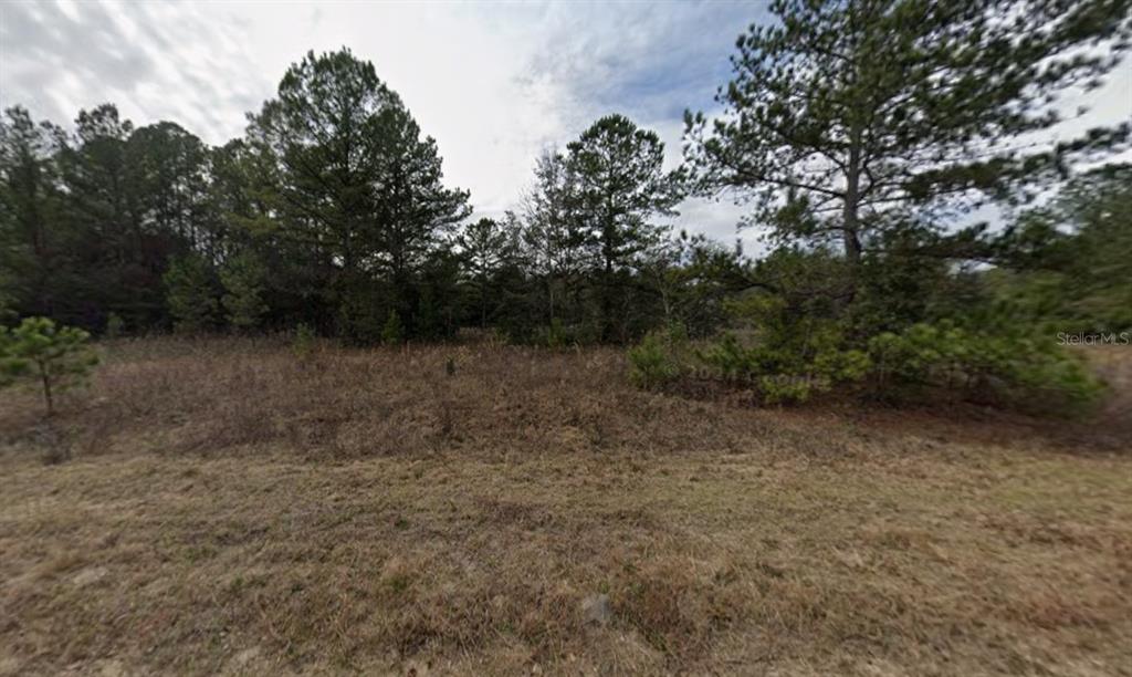 Maltas Avenue Interlachen, FL 32148 - Photo 7 of 9 a view of a dry yard with trees in the background