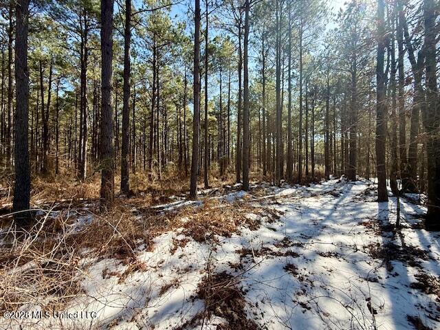 Debutte Road Bastrop, LA 71220 - Photo 20 of 28 IMG_7552