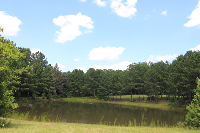878 Bartletts Ferry Road Fortson, GA 31808 - Photo 11 of 30 Gallery Image 11