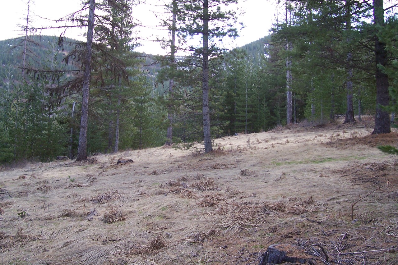 Page Road Smelterville, ID 83868 - Photo 1 of 1 Property