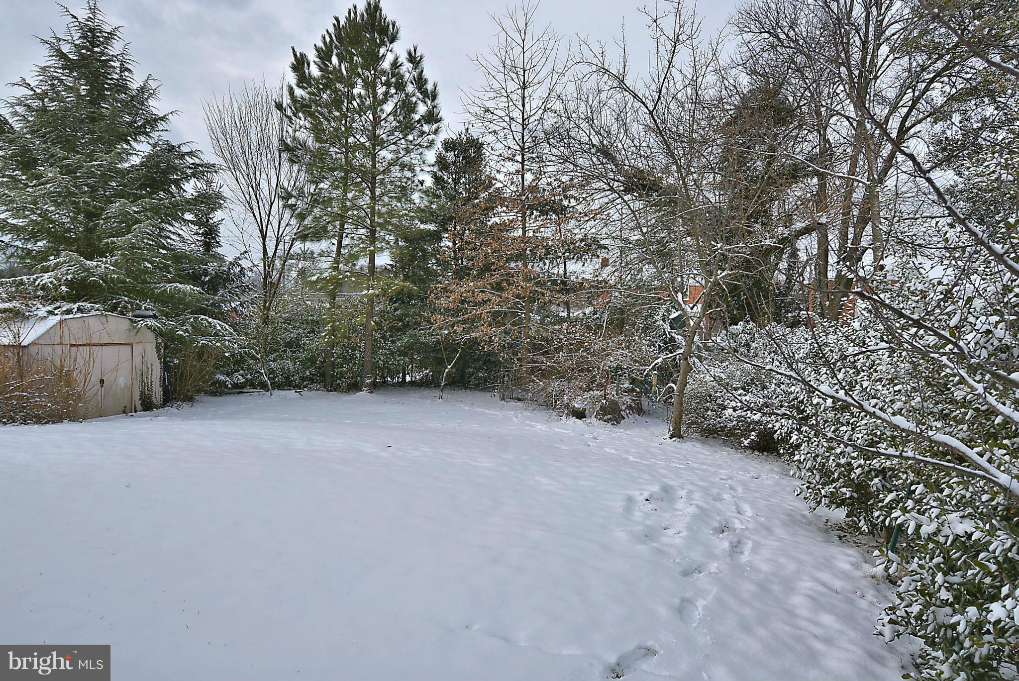 10504 Amherst Avenue Silver Spring, MD 20902 - Photo 5 of 30 a view of outdoor space and yard