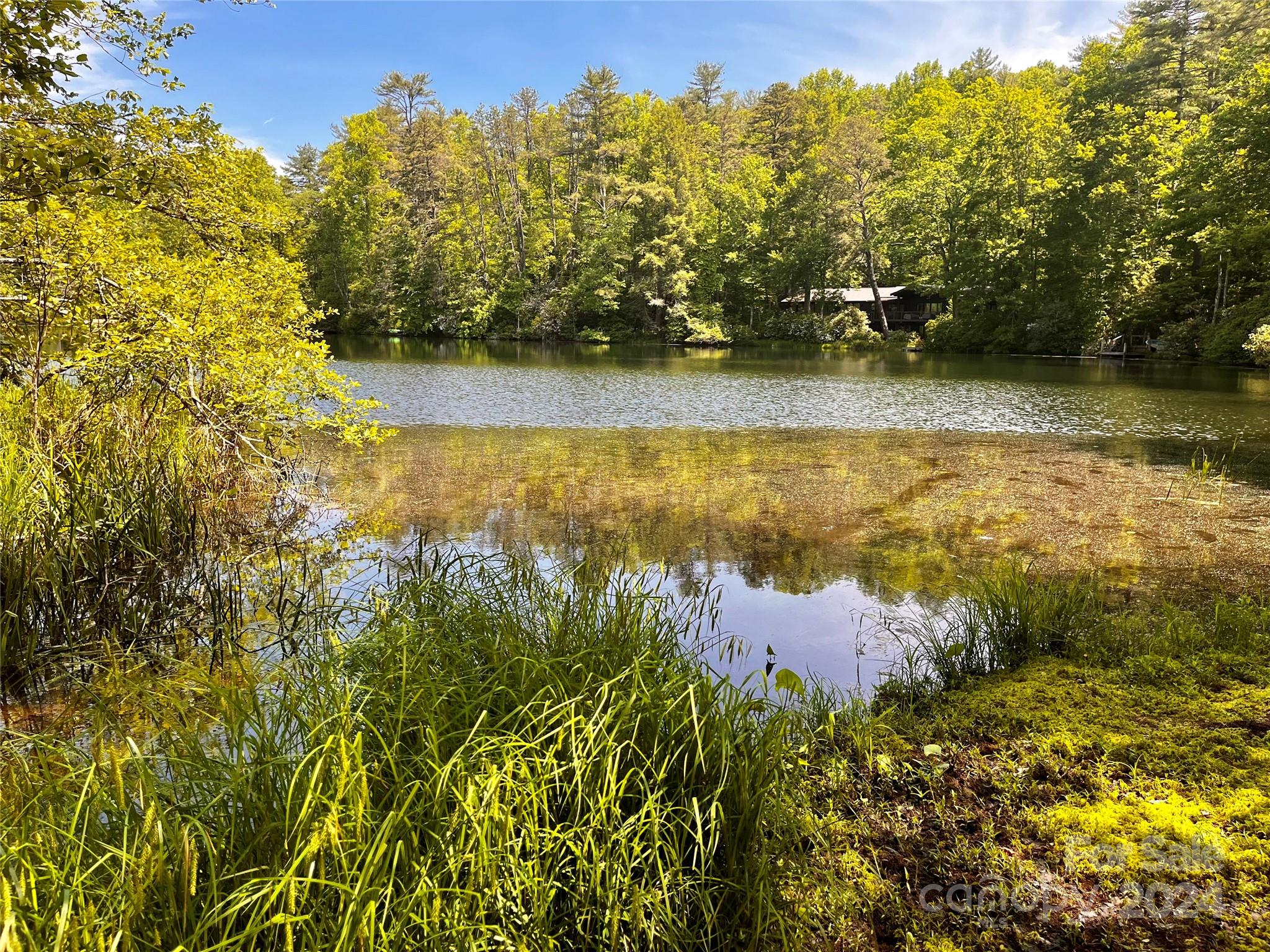 L011 Frazier Road, Unit C11 Brevard, NC 28712 - Photo 21 of 23 Gallery Image 21