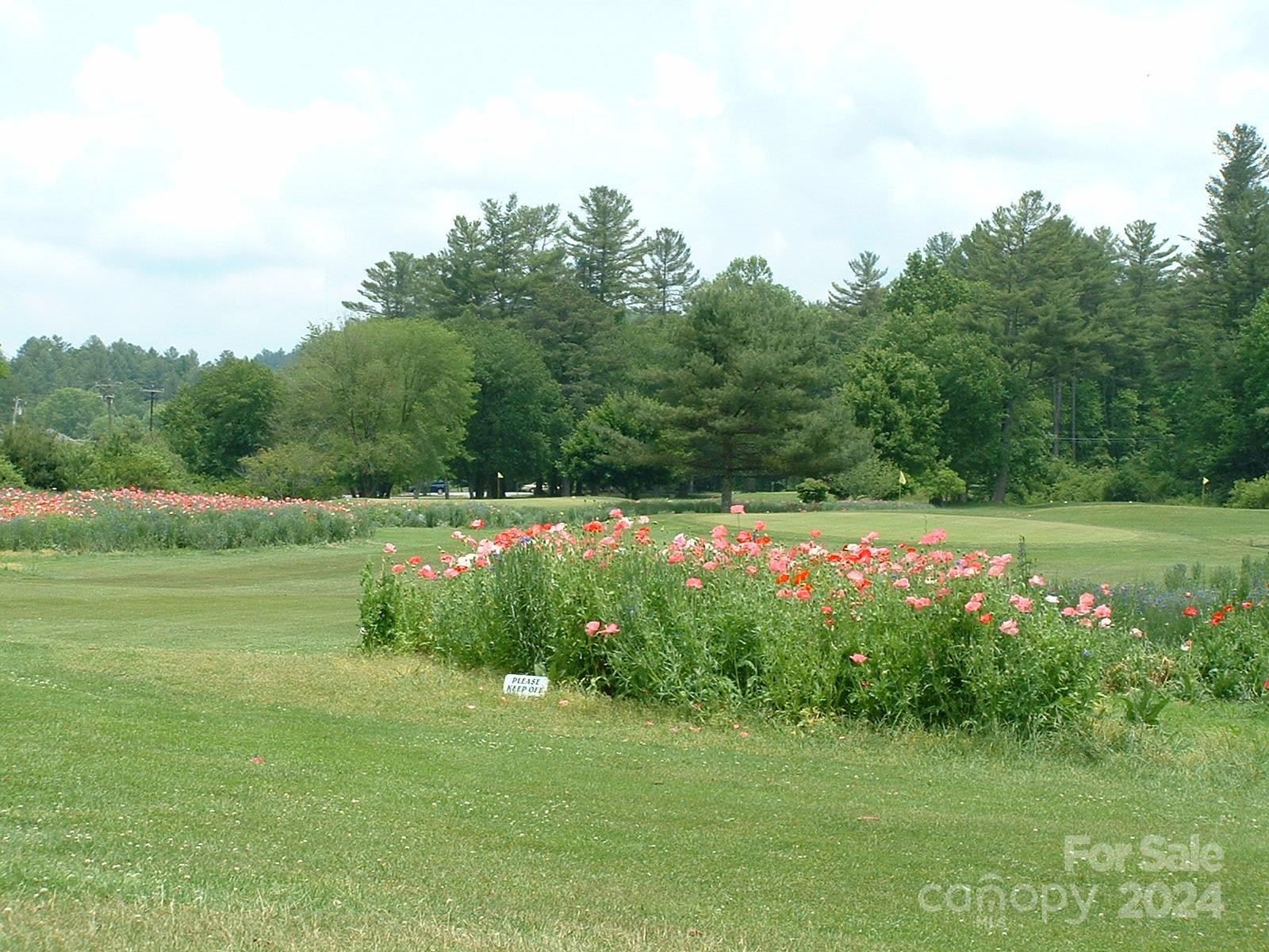 L011 Frazier Road, Unit C11 Brevard, NC 28712 - Photo 23 of 23 Gallery Image 23