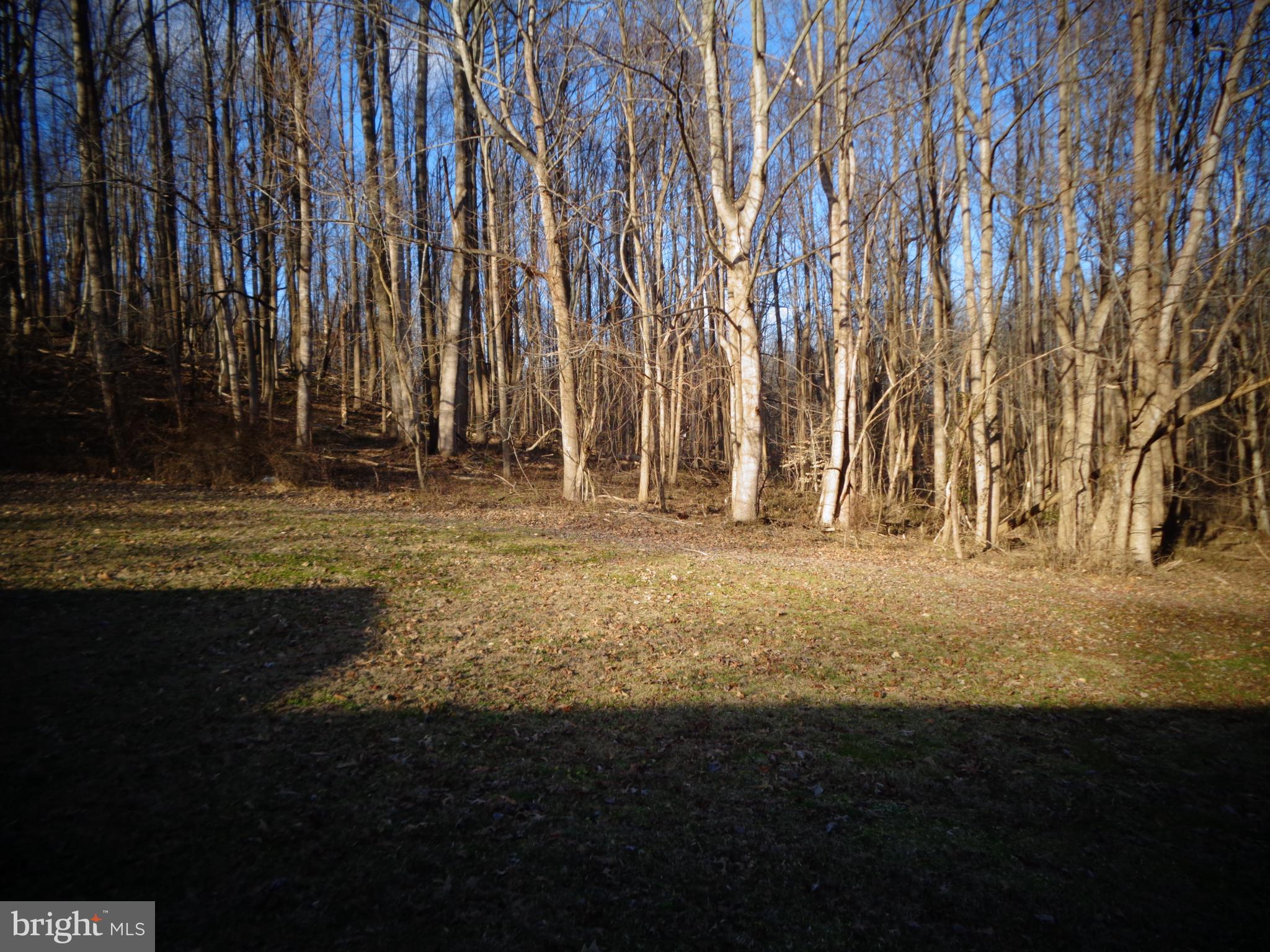 4520 Plum Point Road Chesapeake Beach, MD 20732 - Photo 12 of 16