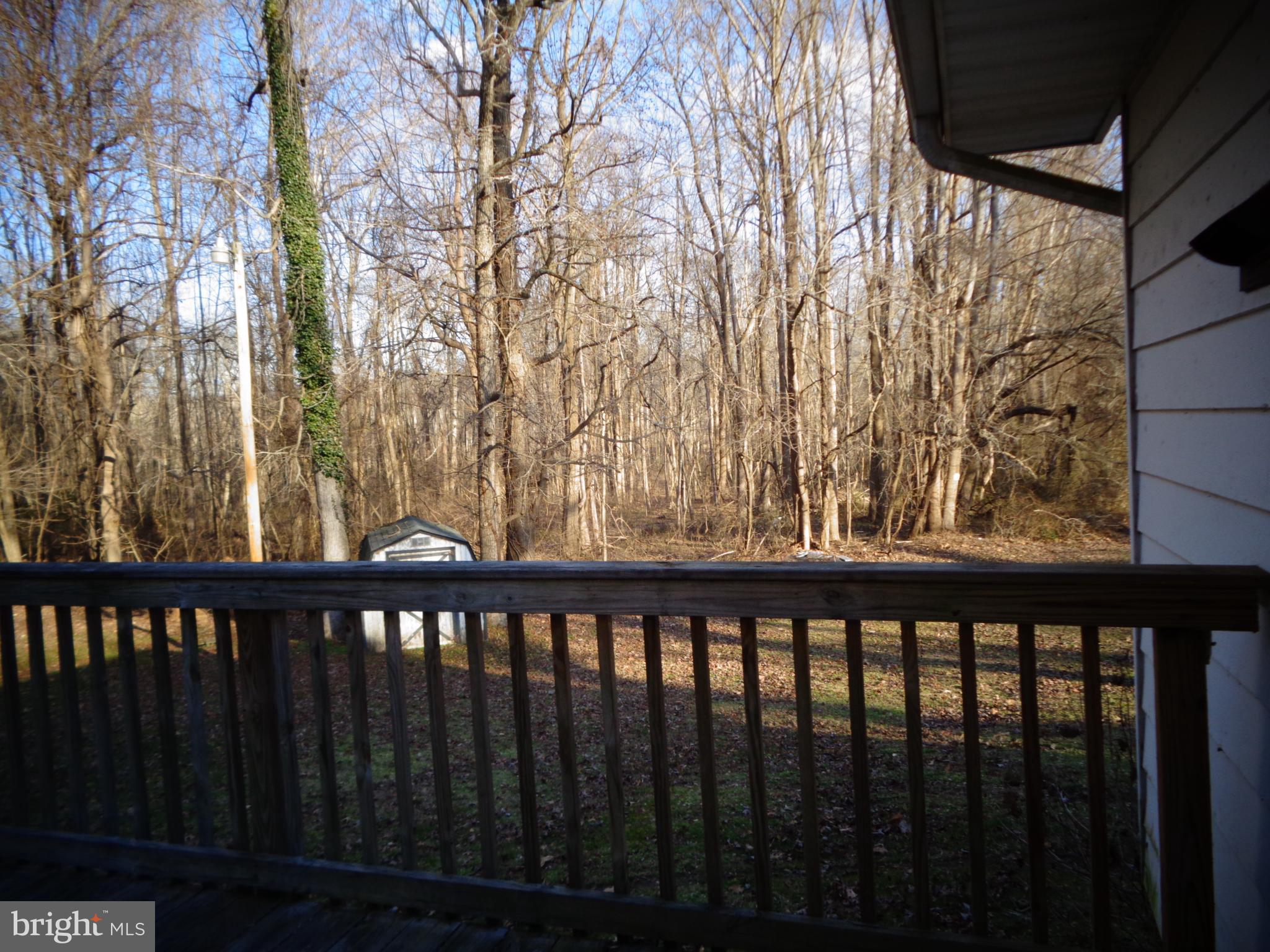 4520 Plum Point Road Chesapeake Beach, MD 20732 - Photo 13 of 16 right side yard