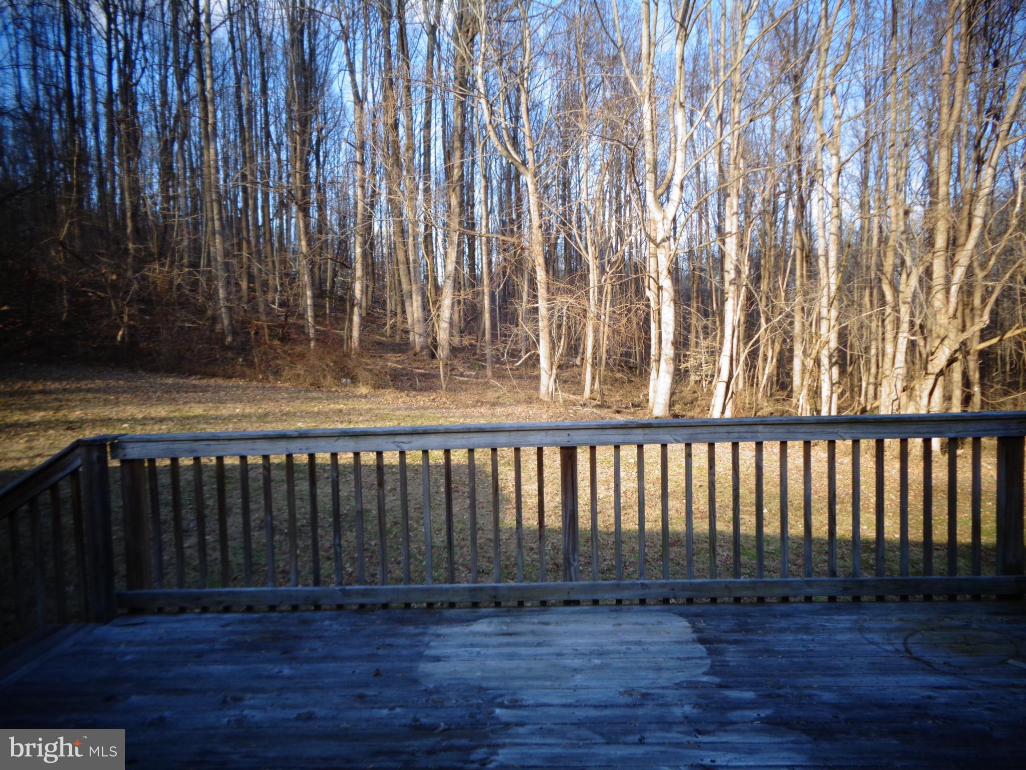 4520 Plum Point Road Chesapeake Beach, MD 20732 - Photo 14 of 16 Backyard
