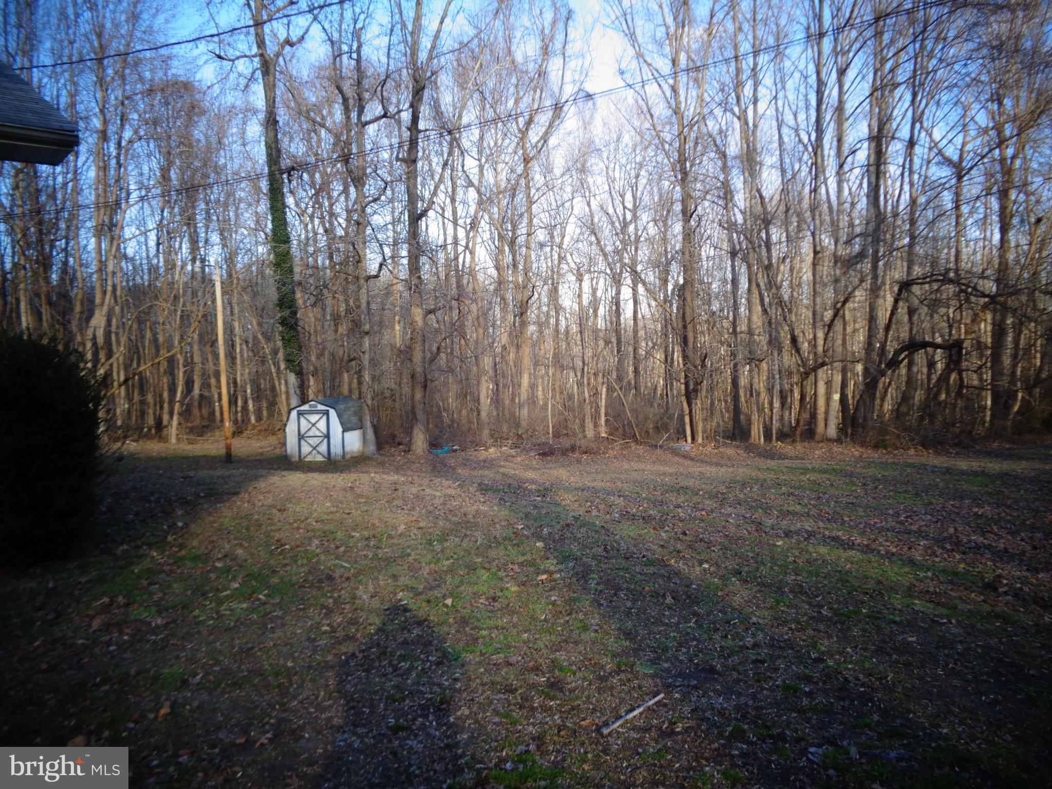 4520 Plum Point Road Chesapeake Beach, MD 20732 - Photo 10 of 16 side yard
