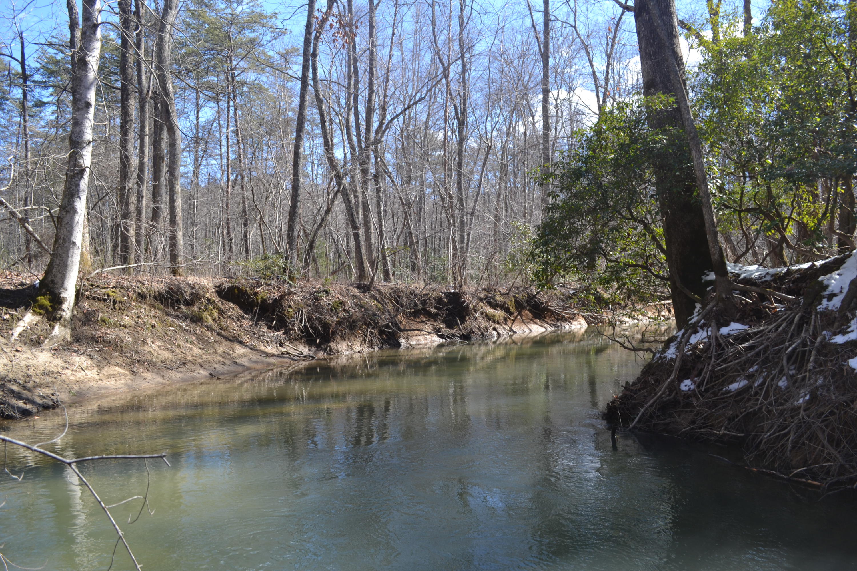 87.67-ac J B Swafford Road Spring City, TN 37381 - Photo 1 of 16 68
