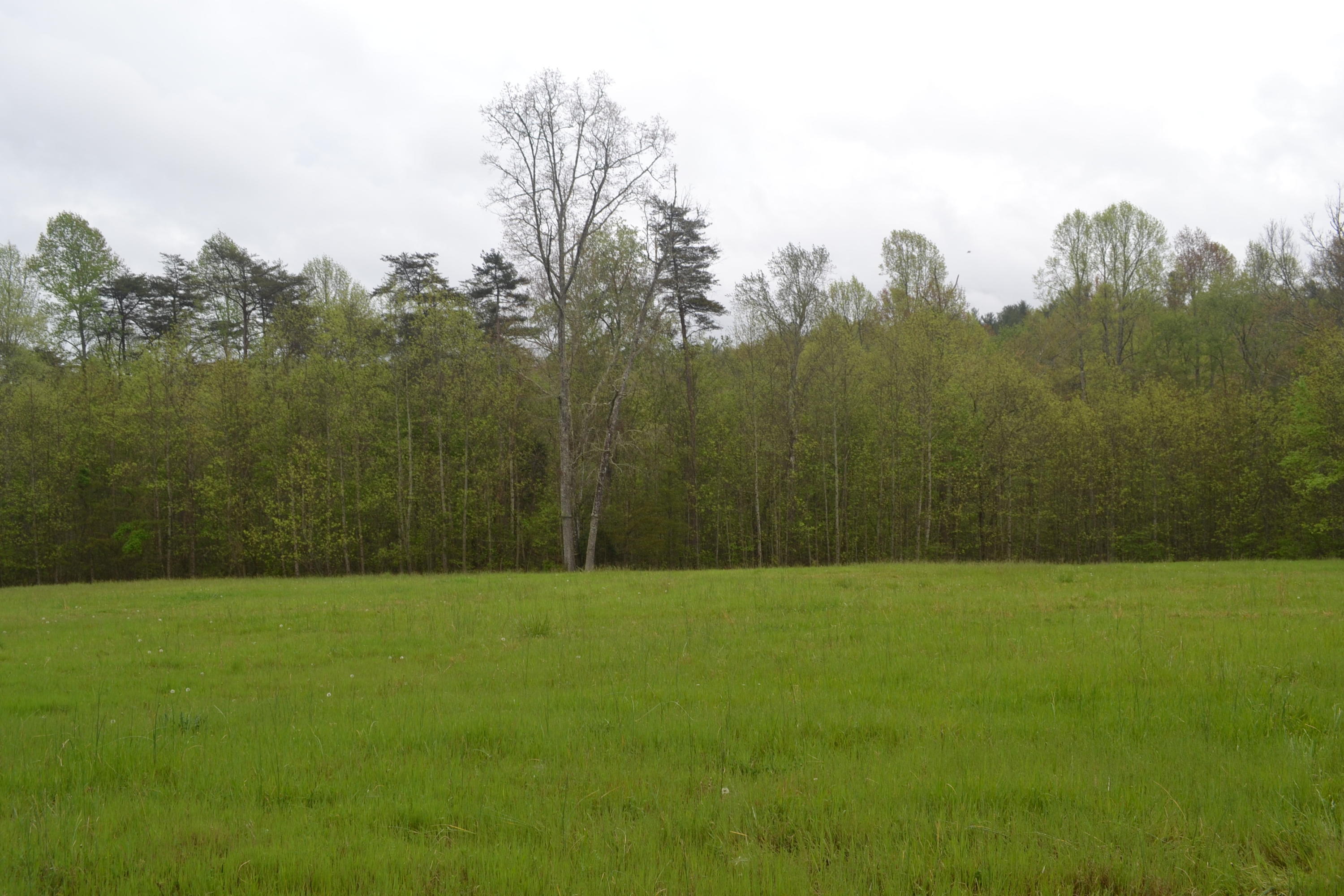 87.67-ac J B Swafford Road Spring City, TN 37381 - Photo 13 of 16 63