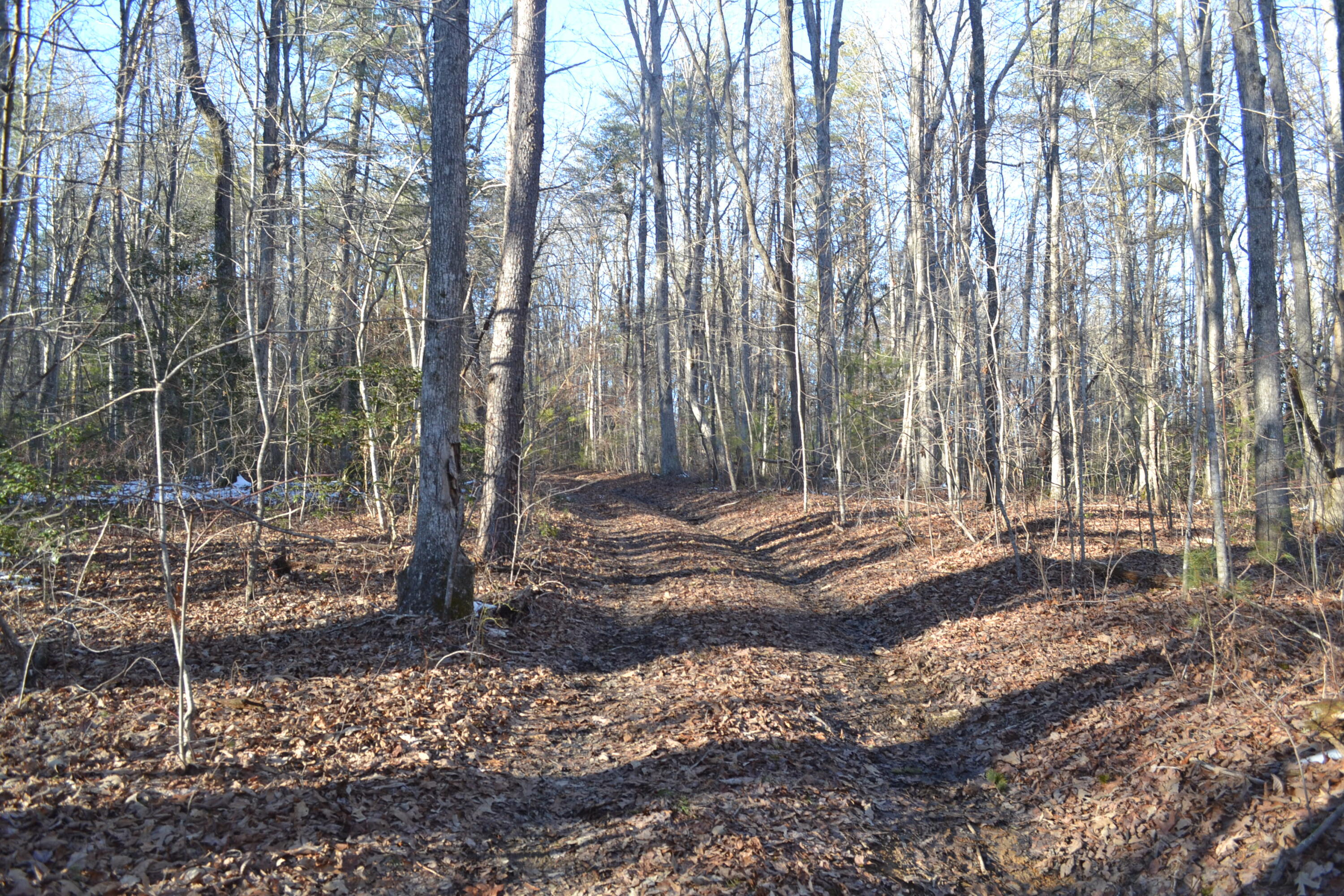 87.67-ac J B Swafford Road Spring City, TN 37381 - Photo 14 of 16 54