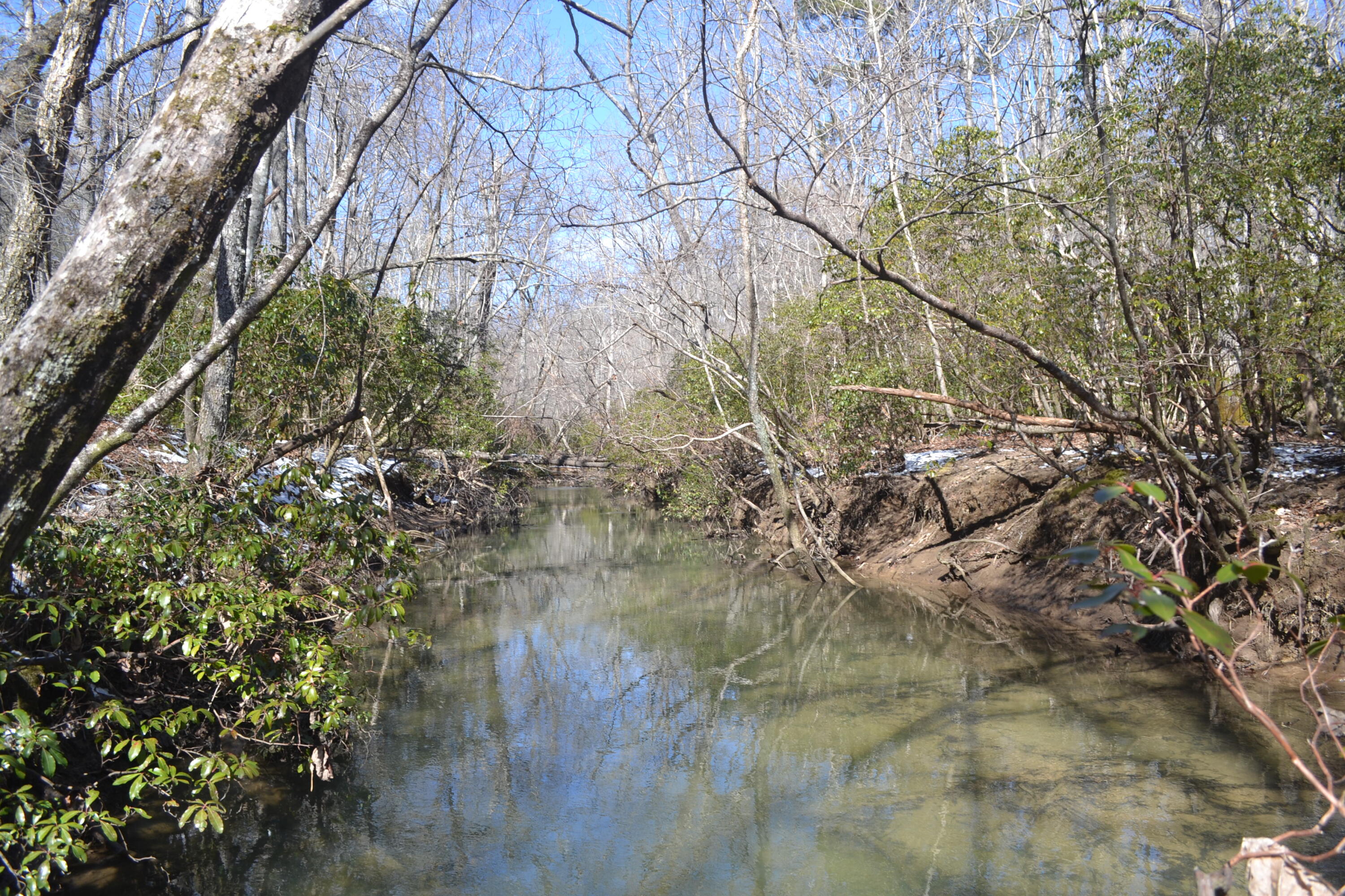 87.67-ac J B Swafford Road Spring City, TN 37381 - Photo 3 of 16 70