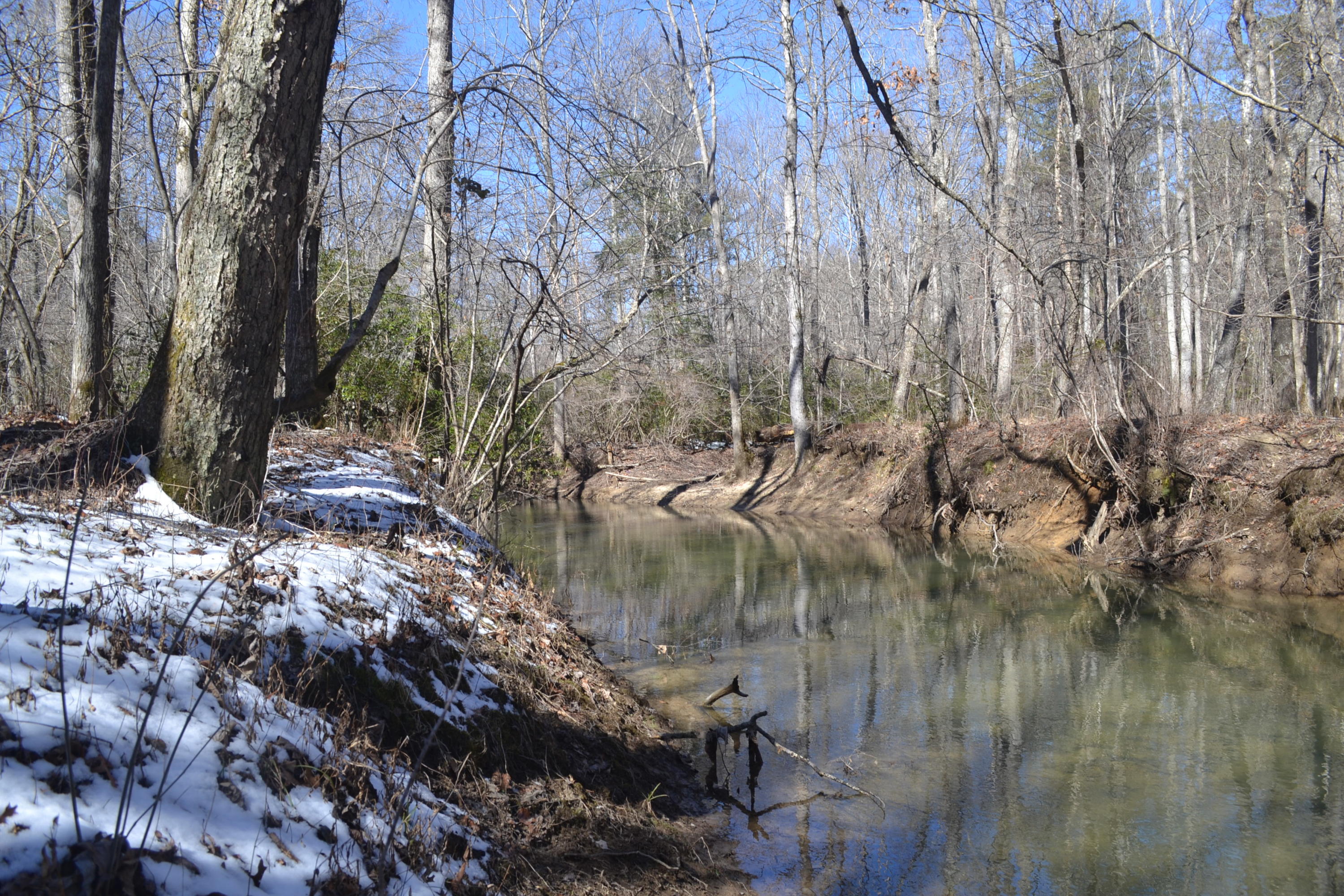87.67-ac J B Swafford Road Spring City, TN 37381 - Photo 4 of 16 74