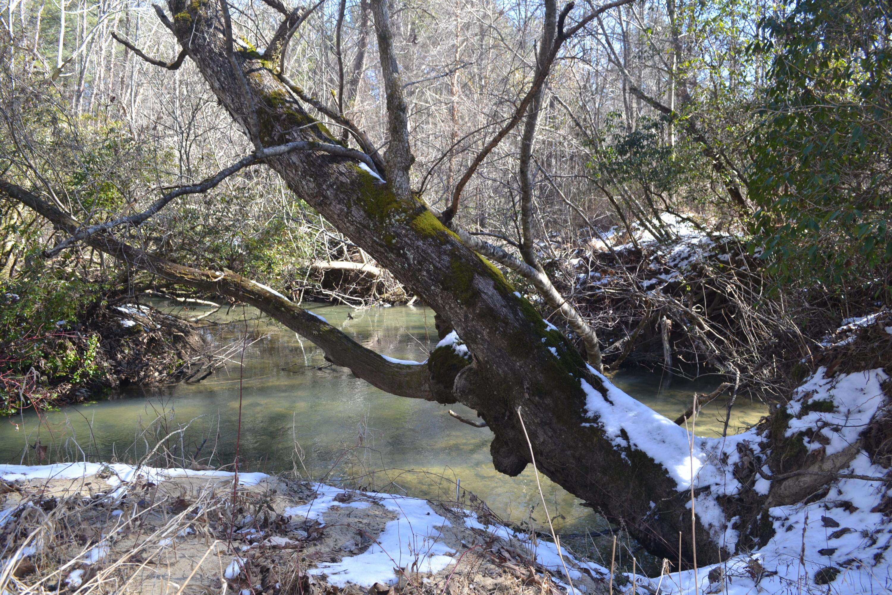 87.67-ac J B Swafford Road Spring City, TN 37381 - Photo 5 of 16 75