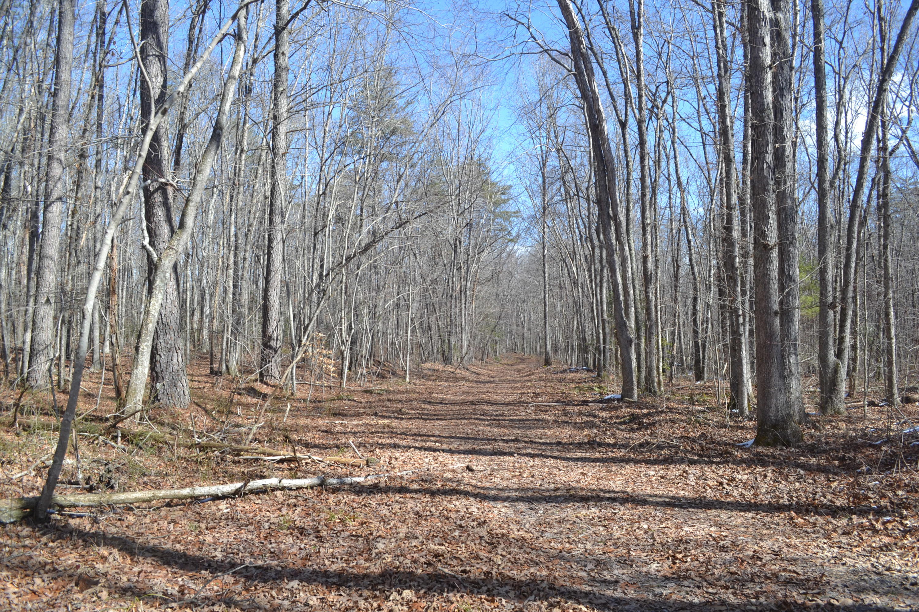 87.67-ac J B Swafford Road Spring City, TN 37381 - Photo 7 of 16 66