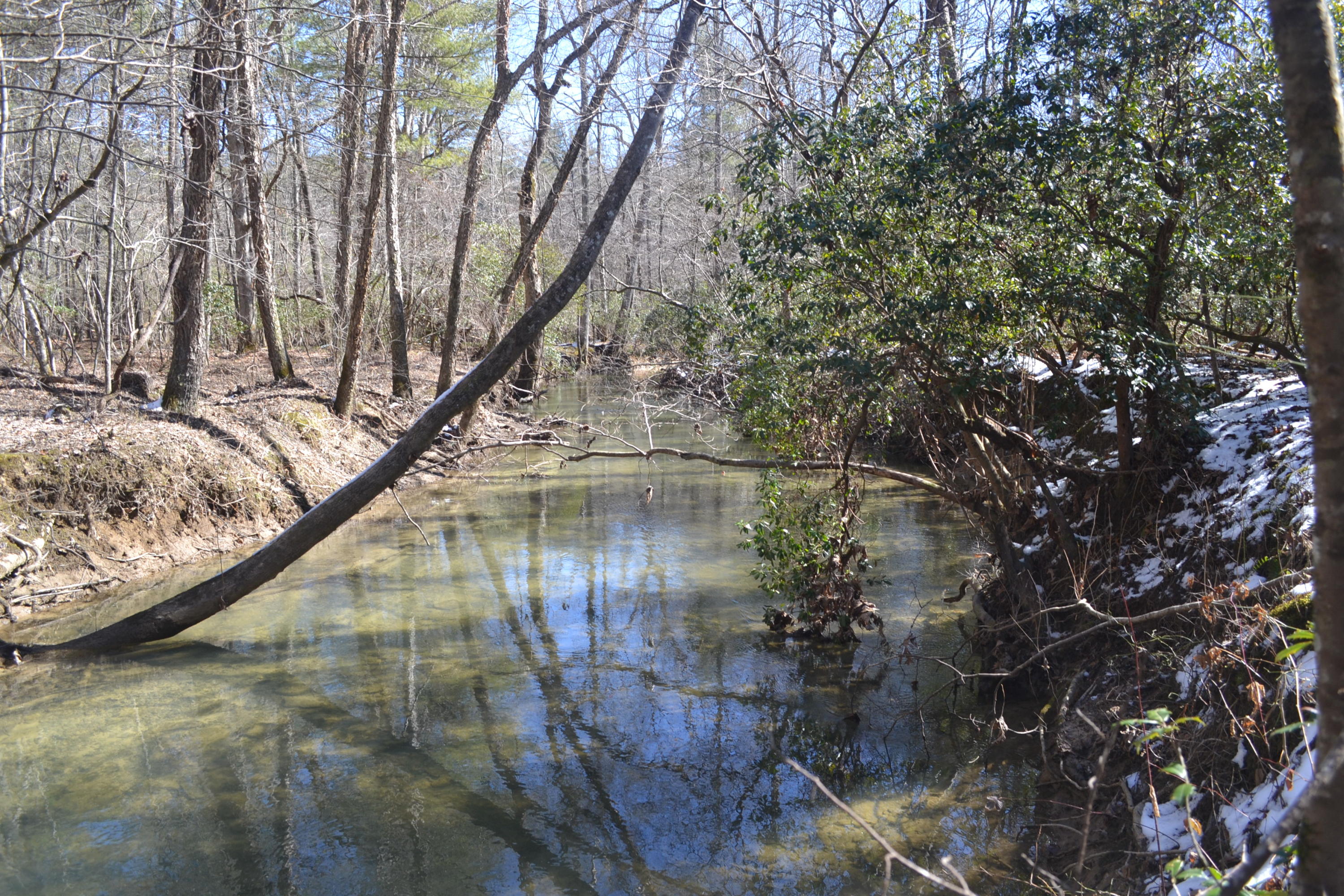 87.67-ac J B Swafford Road Spring City, TN 37381 - Photo 8 of 16 85