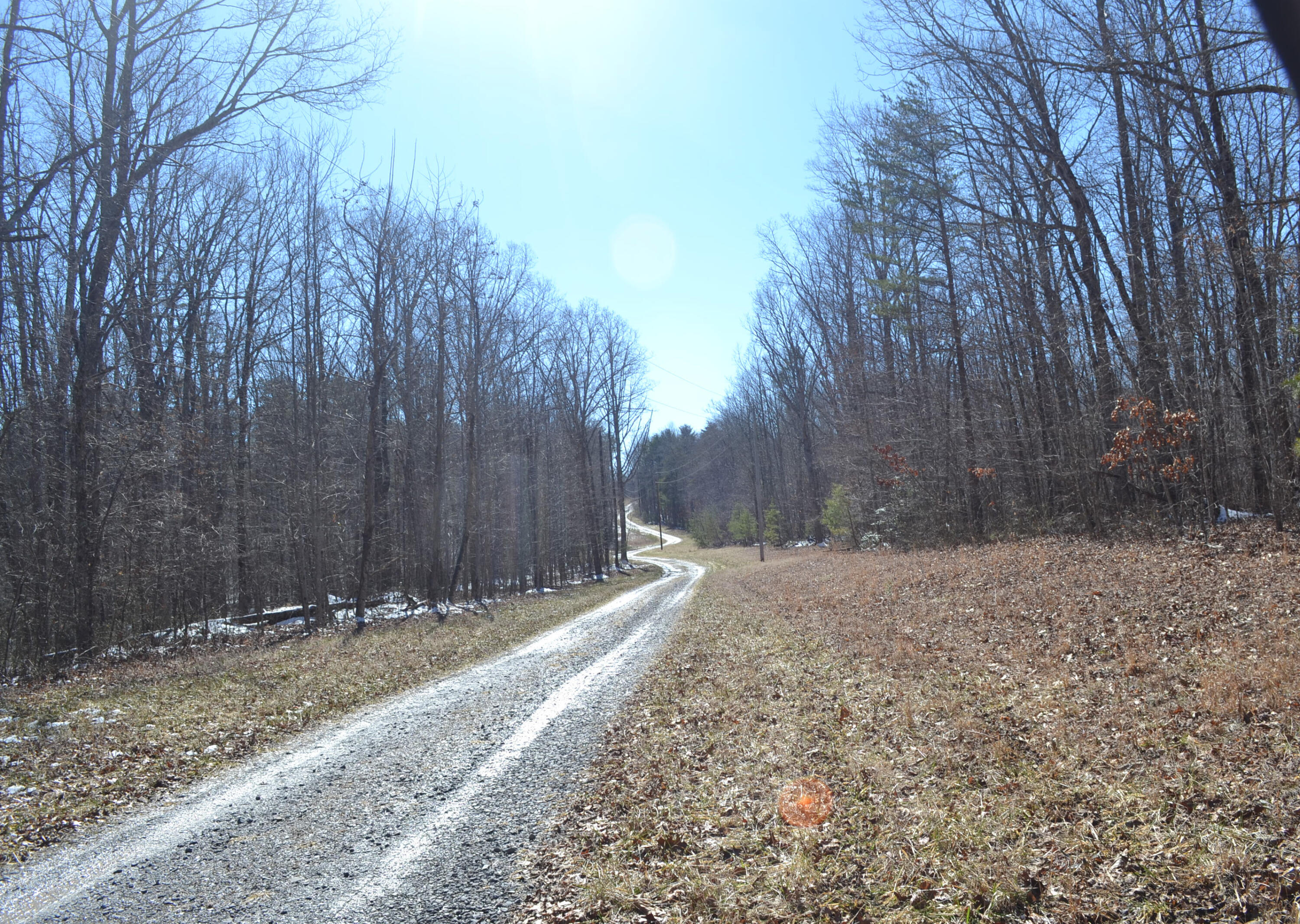 87.67-ac J B Swafford Road Spring City, TN 37381 - Photo 10 of 16 17