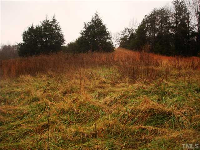 Whitney Road Graham, NC 27253 - Photo 1 of 3 Land