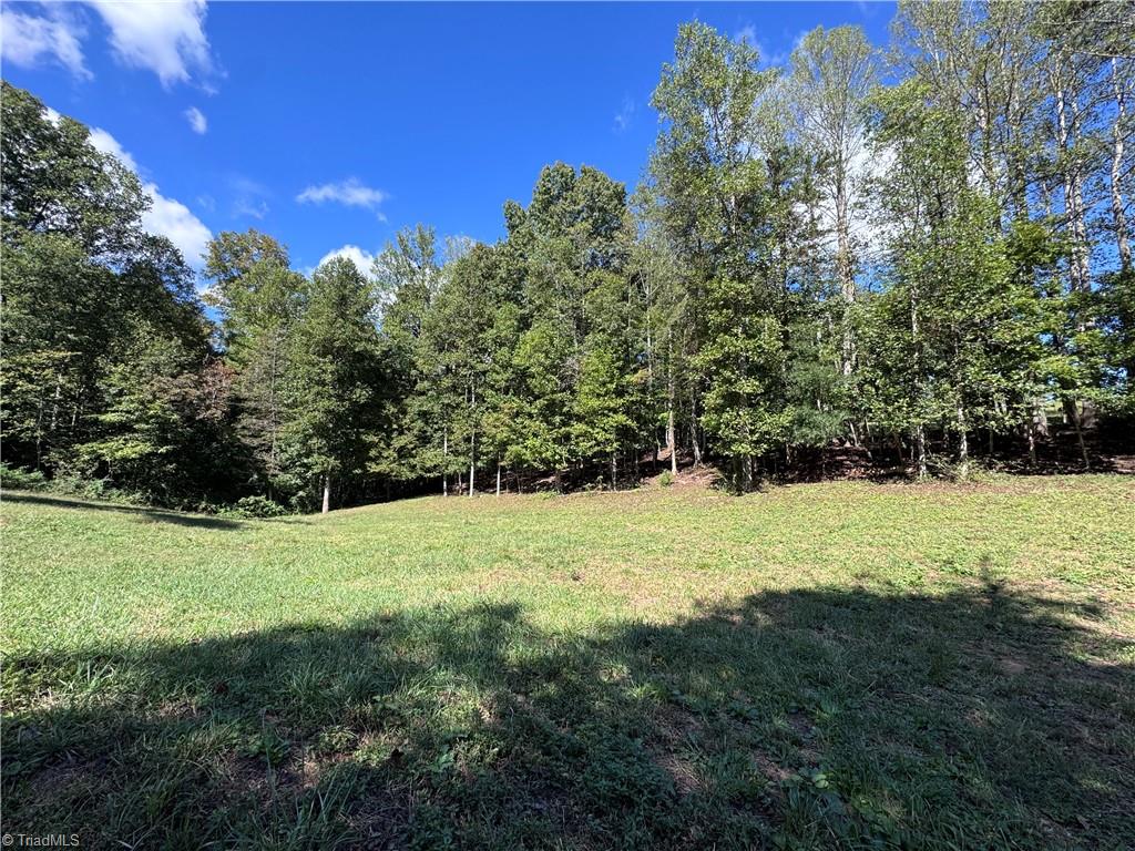 503 Sam Fulk Road Pilot Mountain, NC 27041 - Photo 40 of 50 Gallery Image 40