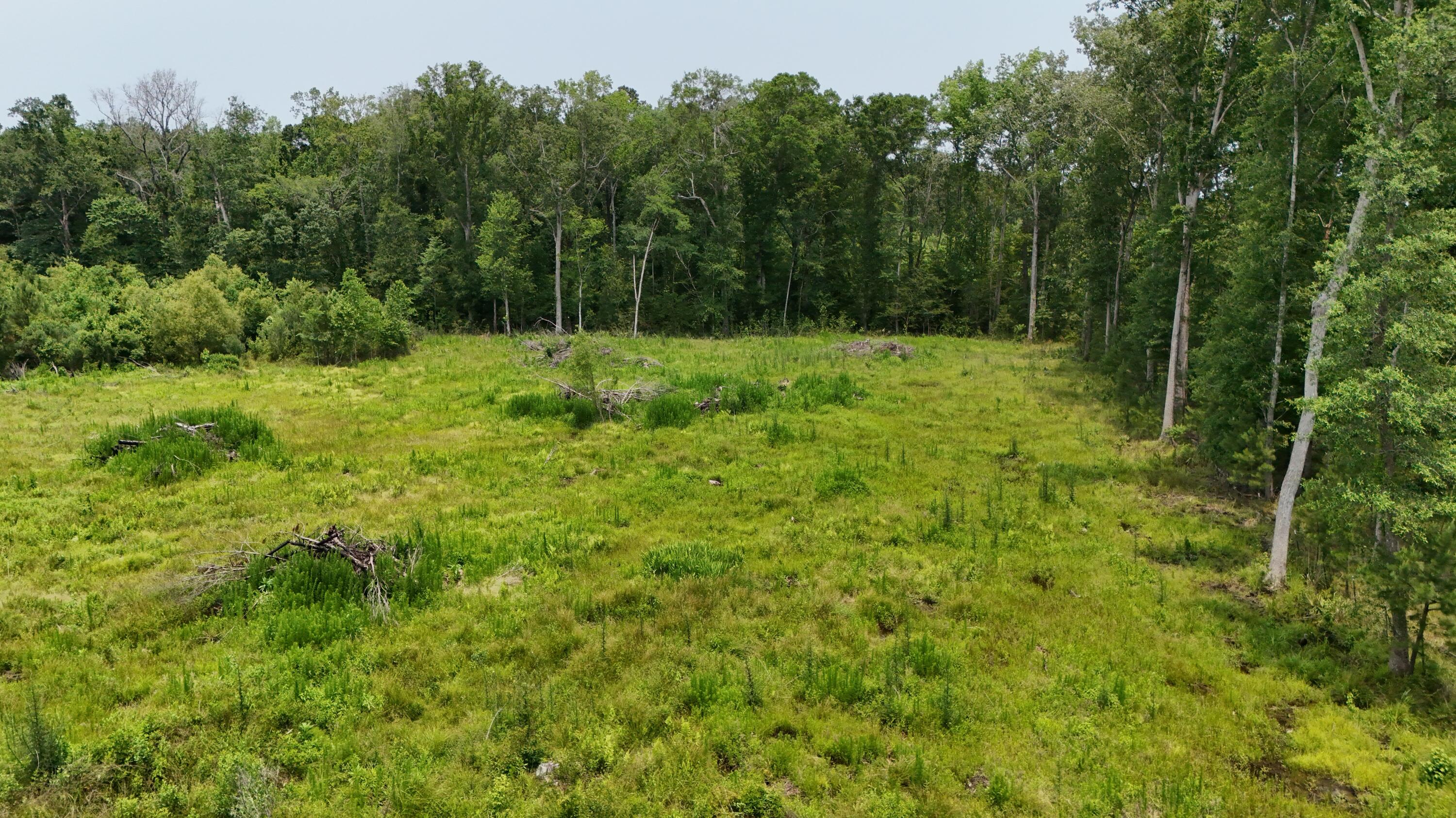 1701 Dawson Branch Road Summerville, SC 29483 - Photo 3 of 3 DJI_20250531131523_0142_D 2
