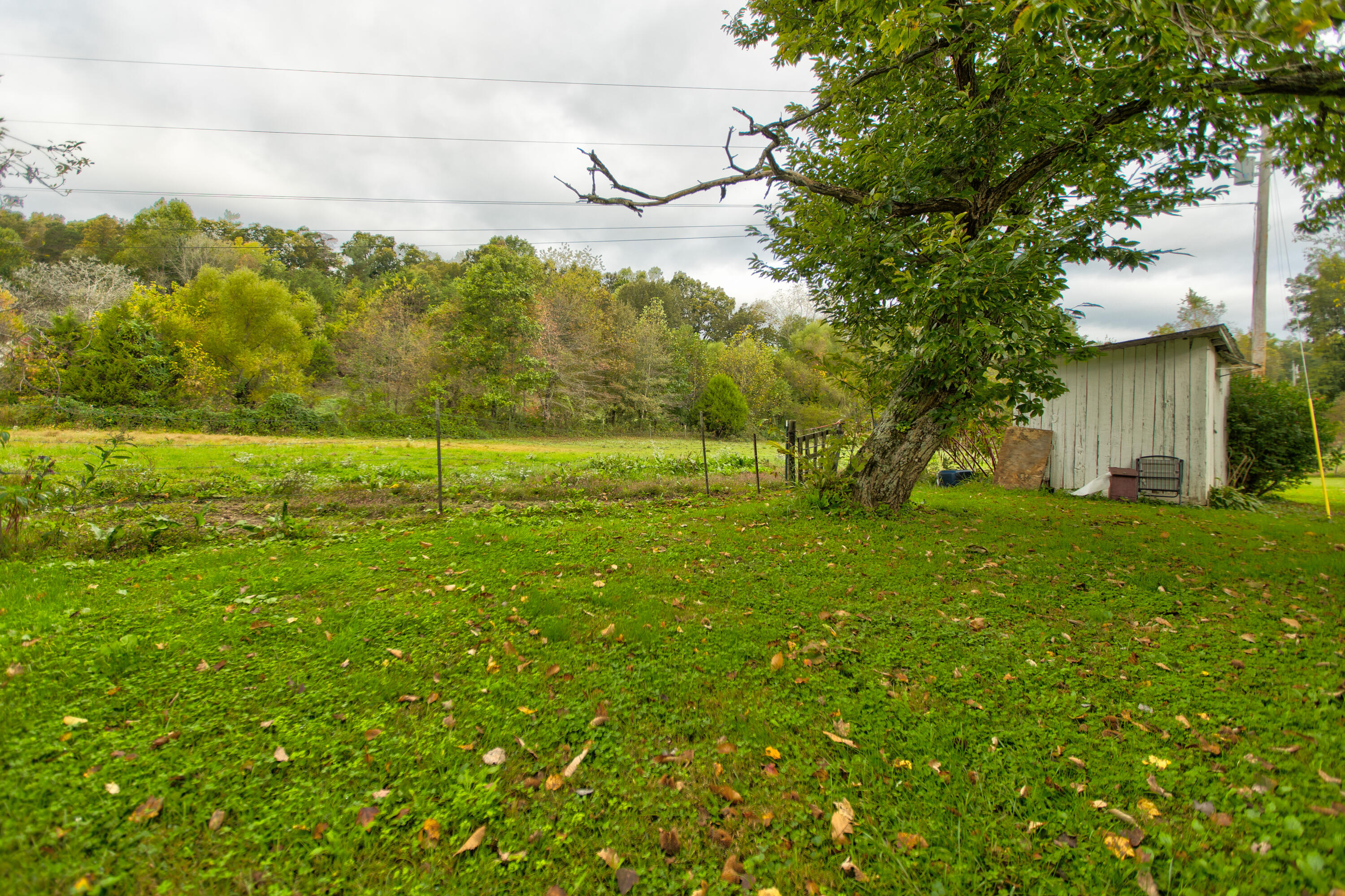 570 Science Ridge Road Jeffersonville, KY 40337 - Photo 9 of 13 261A8971_2_3