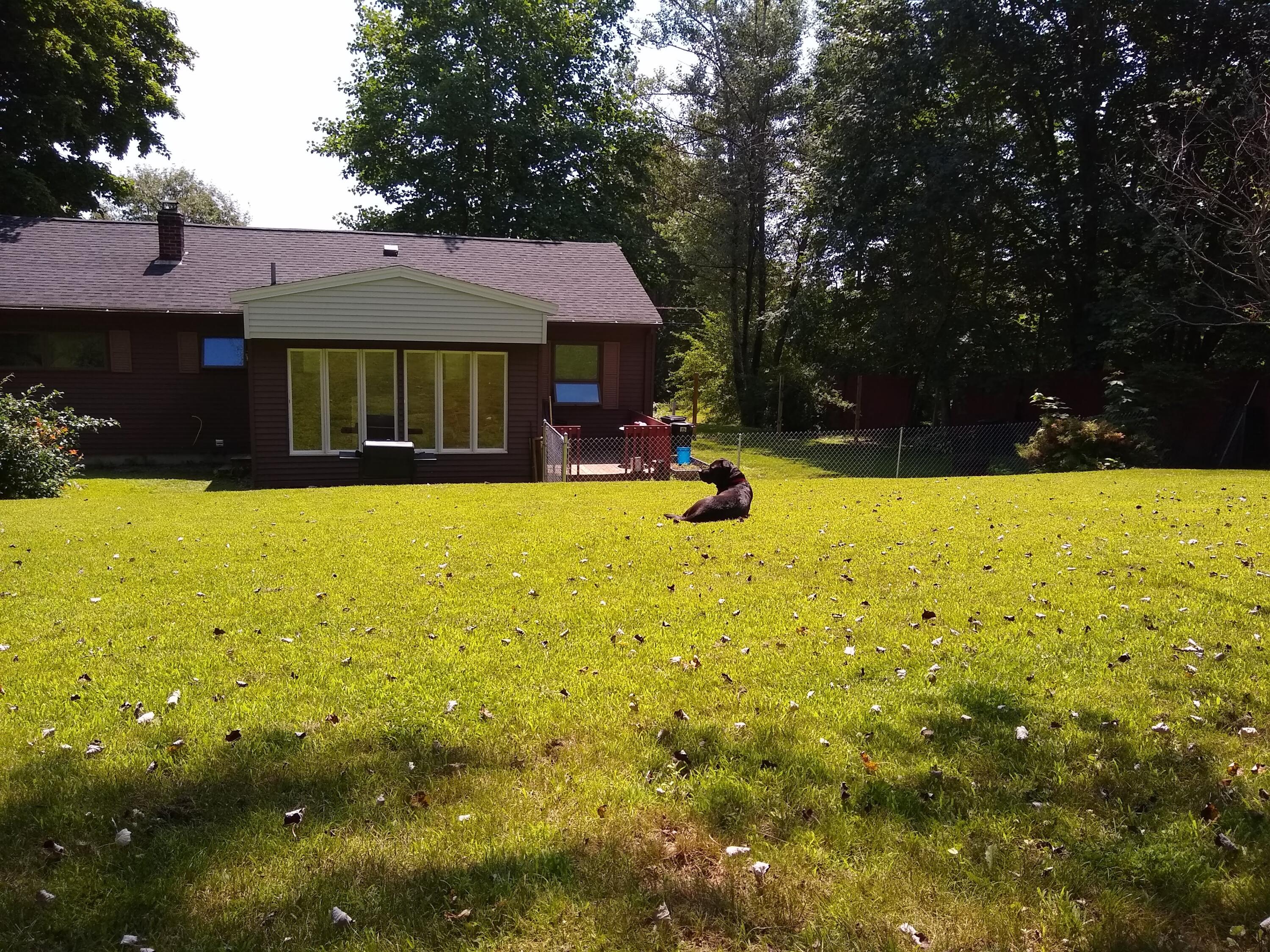 26 Webster Road Lisbon, ME 04250 - Photo 13 of 13 yard
