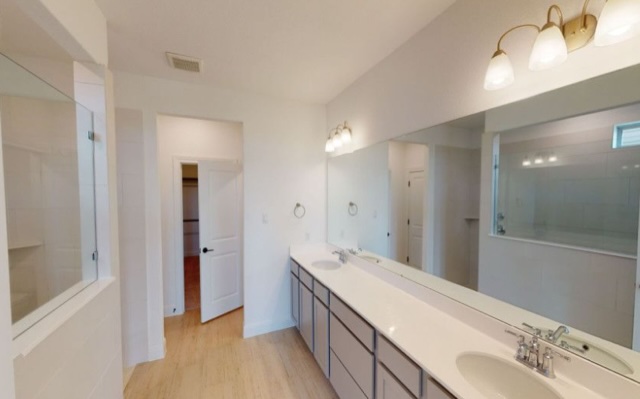 237 Rain Lily Lane Georgetown, TX 78626 - Photo 18 of 20 a bathroom with a double vanity sink a mirror and a shower