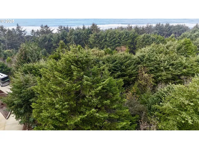 a view of a green field