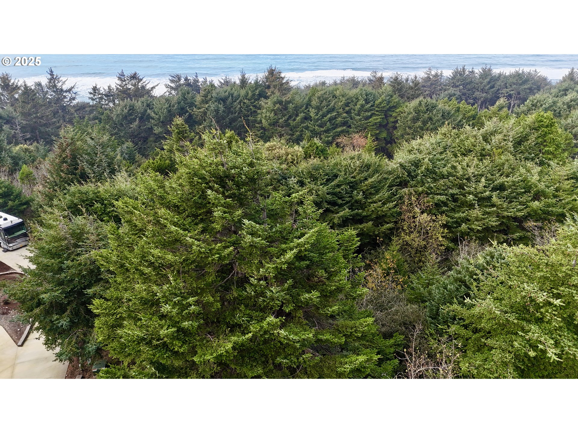 Mutts Gold Beach, OR 97444 - Photo 12 of 22 a view of a green field