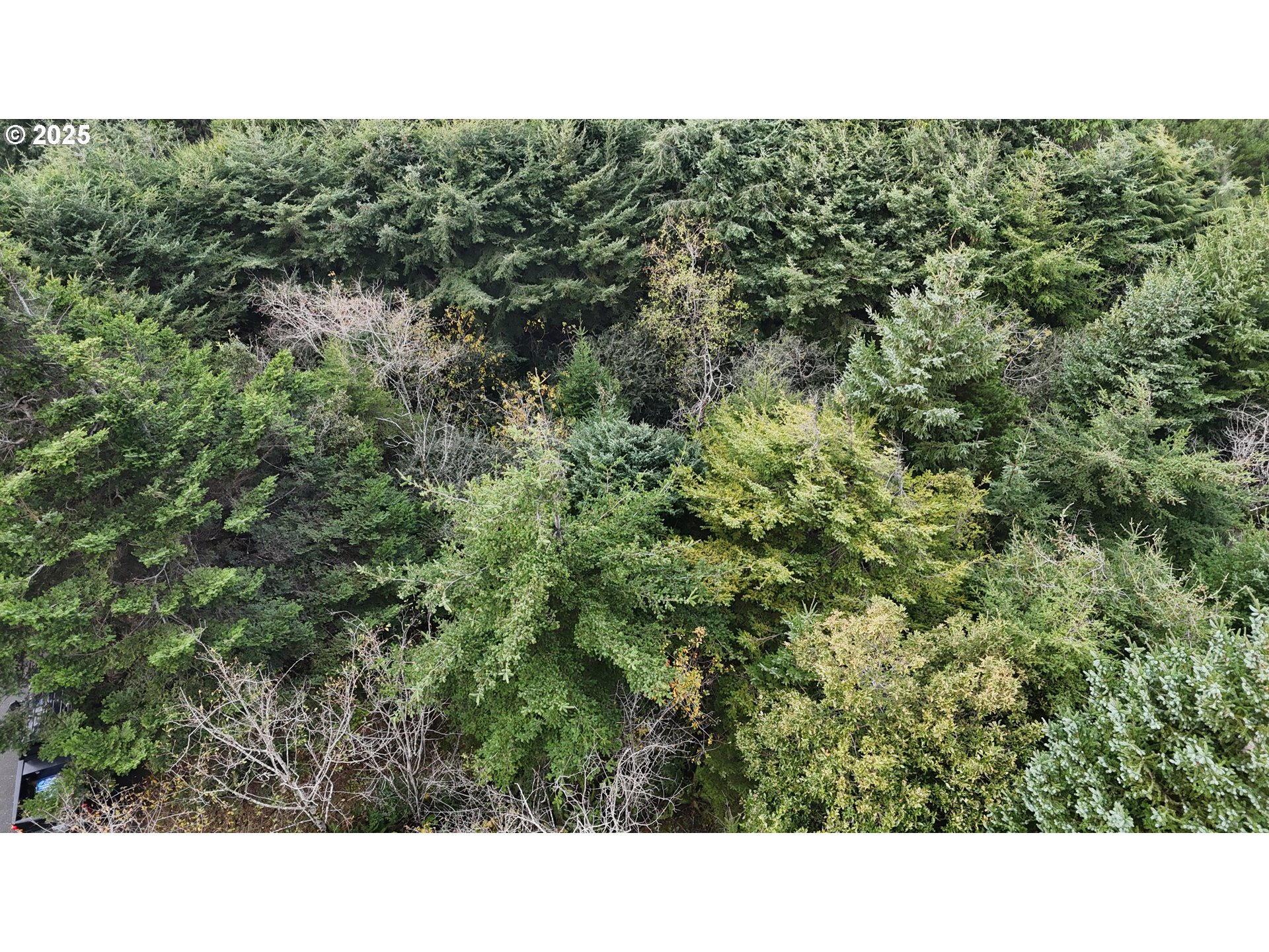 Mutts Gold Beach, OR 97444 - Photo 13 of 22 a open area of a house