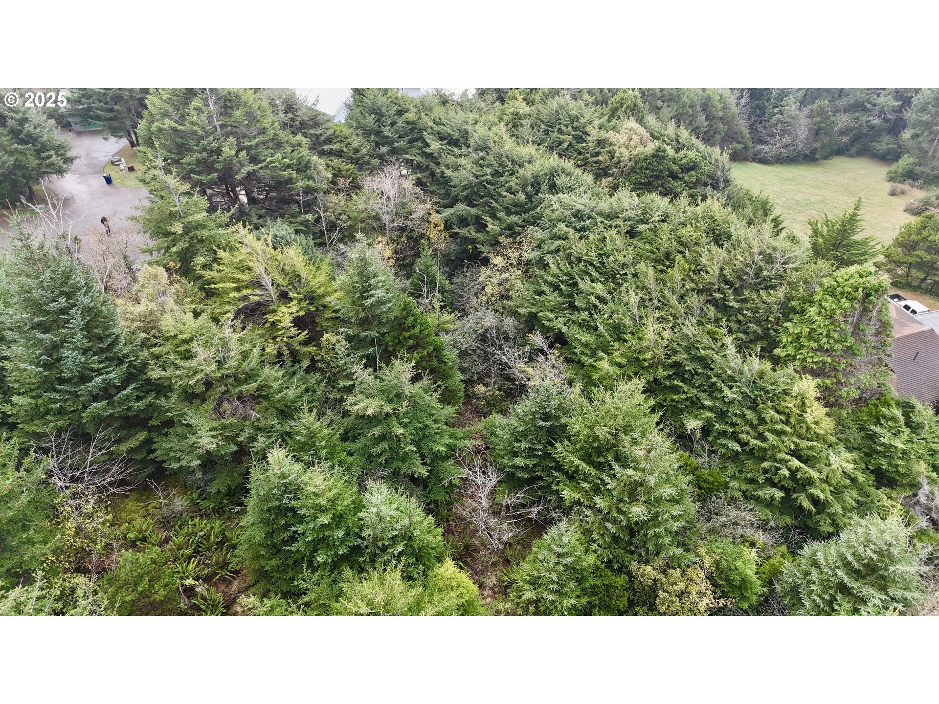 Mutts Gold Beach, OR 97444 - Photo 15 of 22 a upper view of a forest