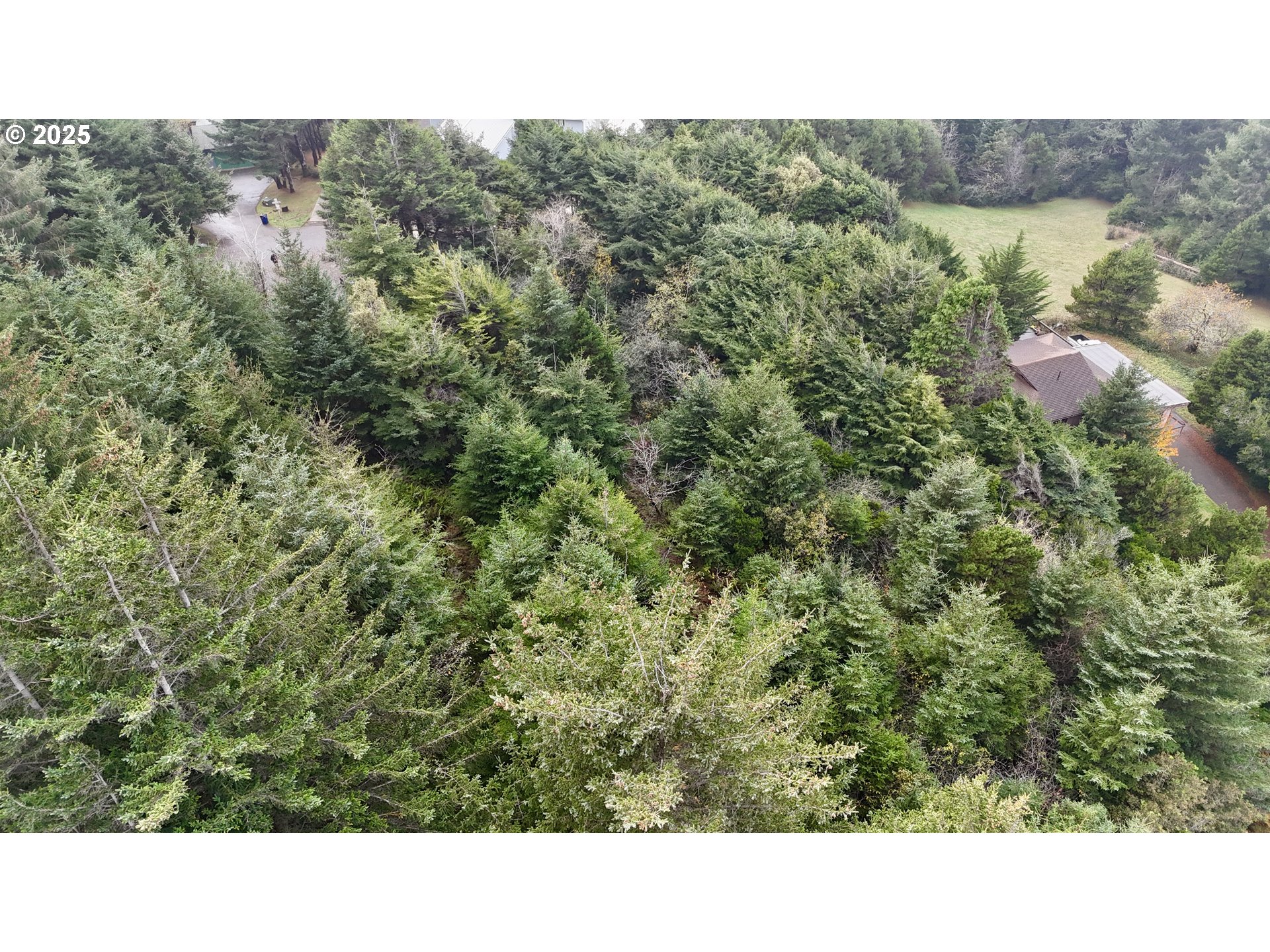 Mutts Gold Beach, OR 97444 - Photo 16 of 22 a black and white photo of a city
