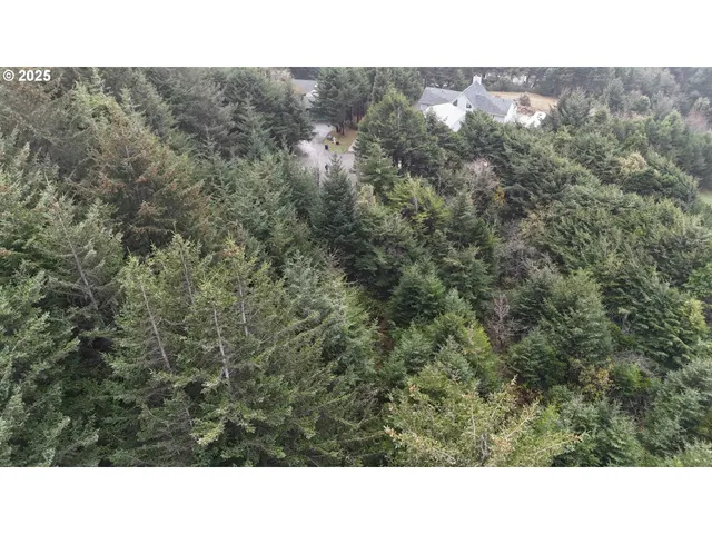 a black and white photo of a house