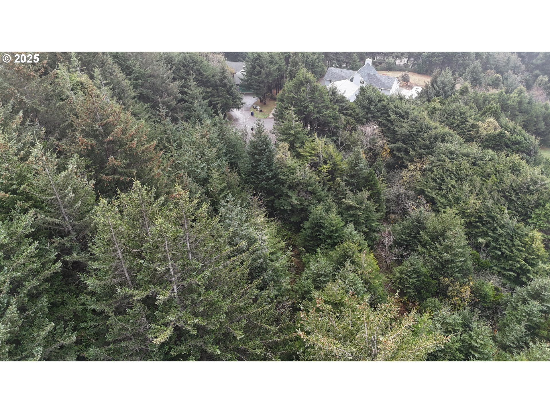 Mutts Gold Beach, OR 97444 - Photo 19 of 22 a black and white photo of a house