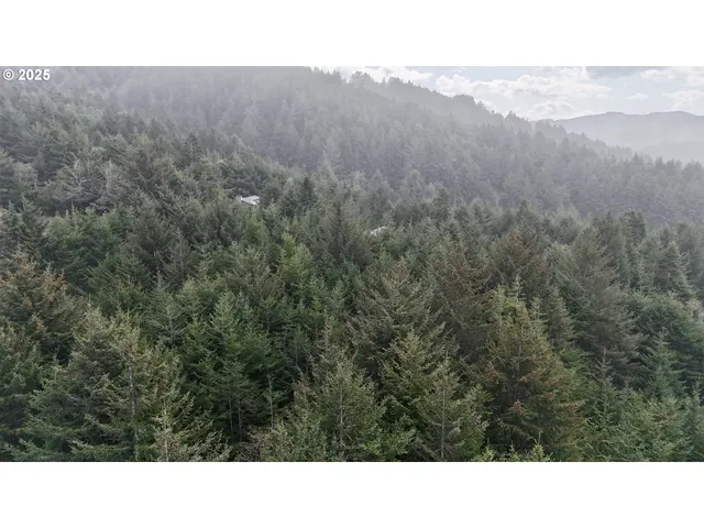 a black and white photo of a house