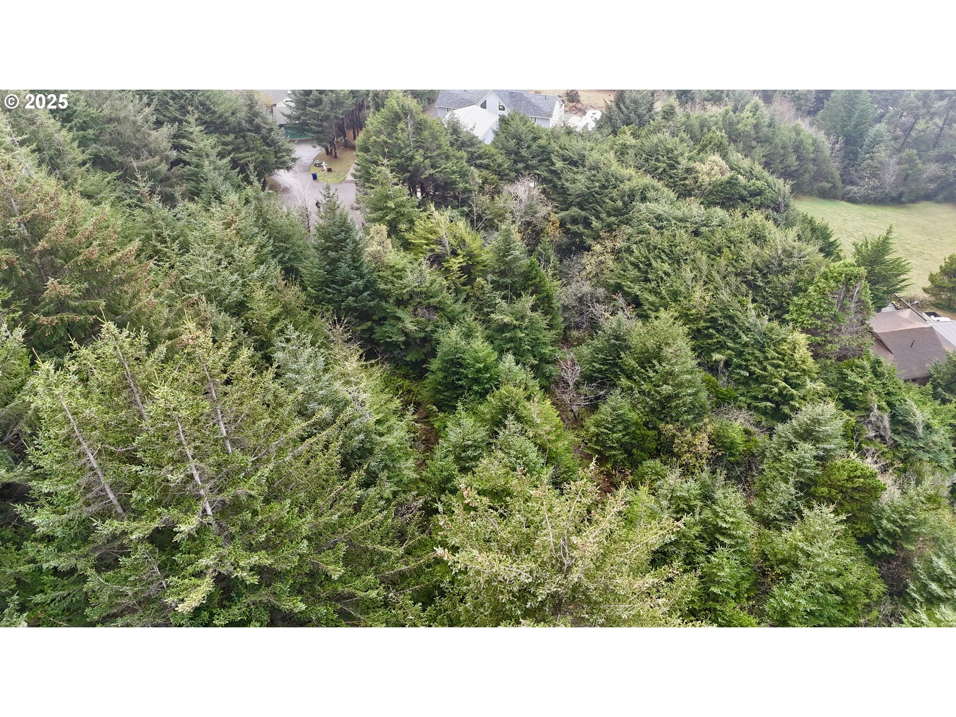 Mutts Gold Beach, OR 97444 - Photo 21 of 22 a open area with green field and trees