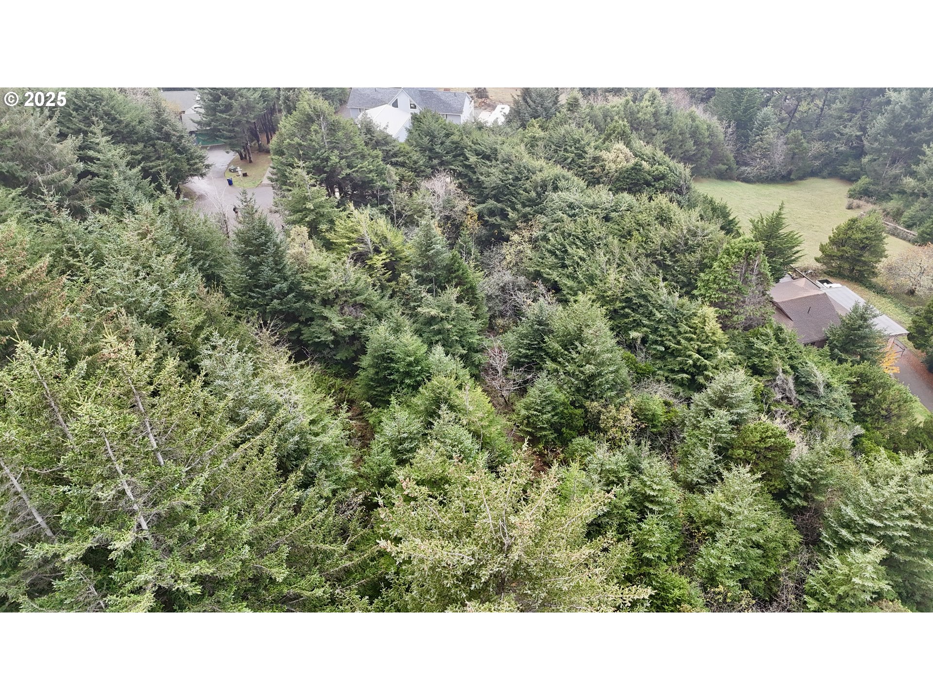 Mutts Gold Beach, OR 97444 - Photo 22 of 22