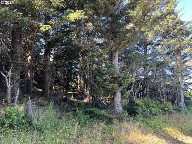 a view of outdoor space and green space