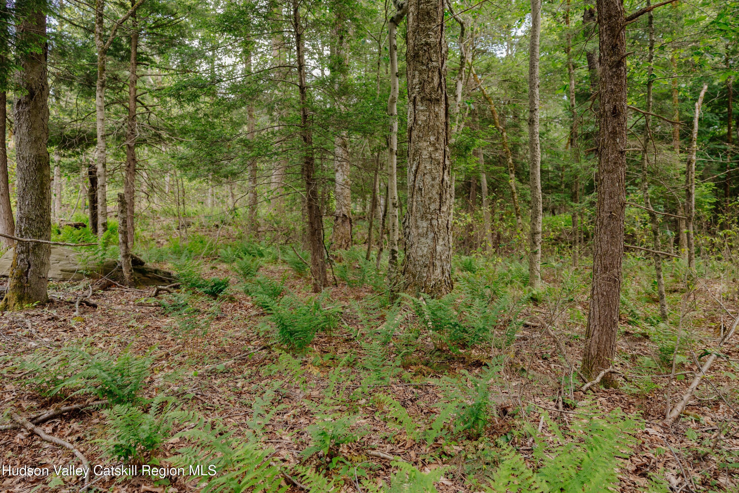 Tbd Church Lake Road Livingston Manor, NY 12758 - Photo 19 of 33 shandelee-woods-thatupstateagent-1-19