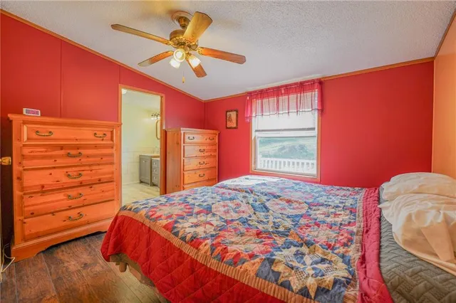 a bathroom with a sink mirror and vanity